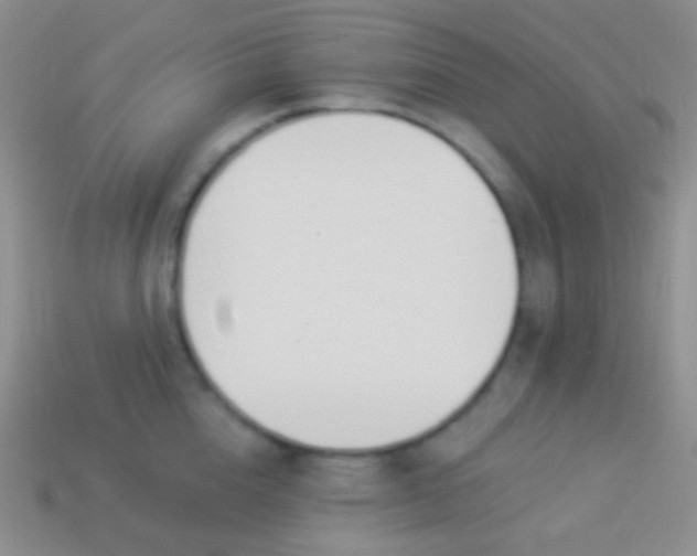 X0000114240856200910231522