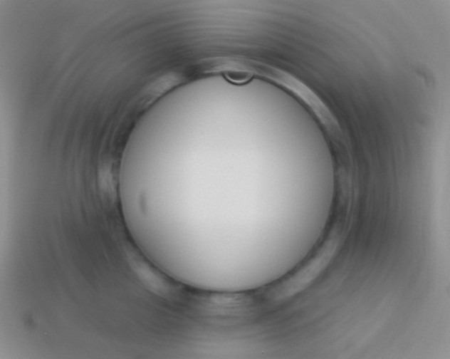 X0000114240857200910231522