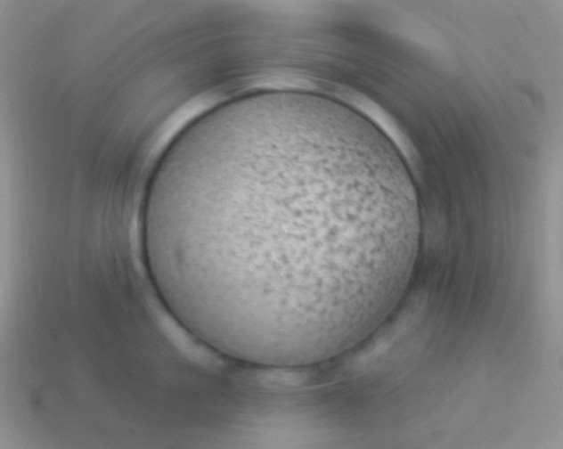 X0000114240861200910231523