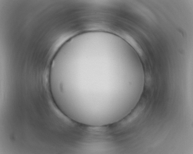 X0000114240863200910231523