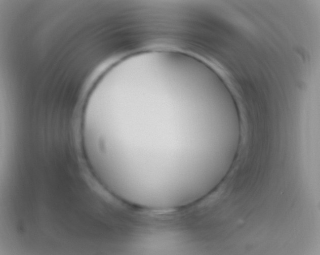 X0000114240864200910231523