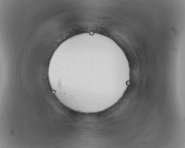 X0000114240865200910231522