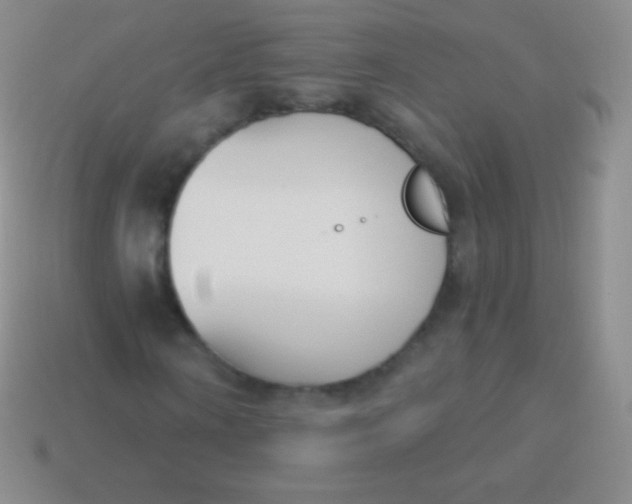 X0000114240866200910231522