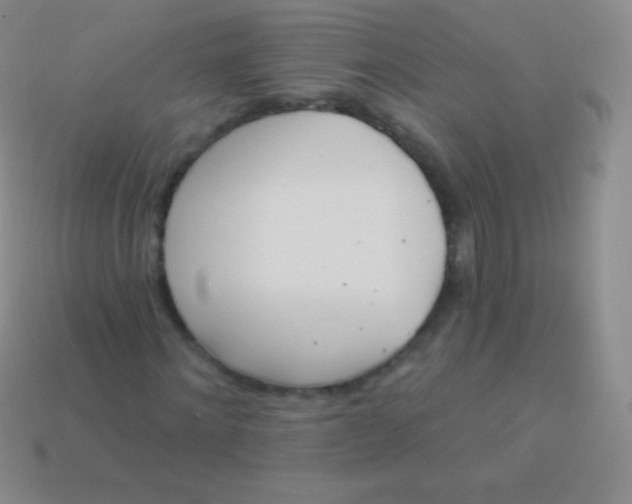 X0000114240868200910231522