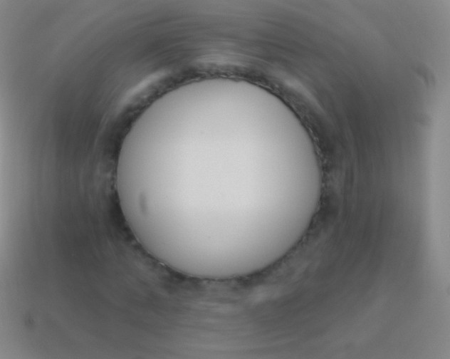X0000114240870200910231522