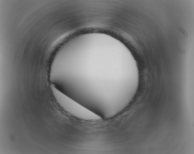 X0000114240872200910231522