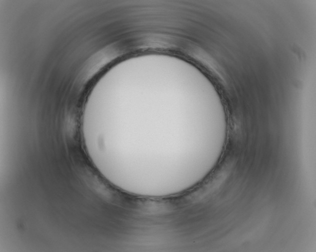 X0000114240874200910231522