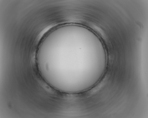 X0000114240875200910231522