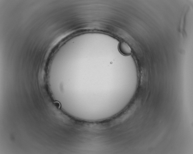 X0000114240876200910231522