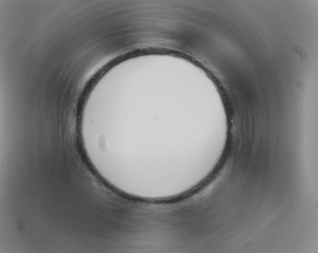 X0000114240877200910231522