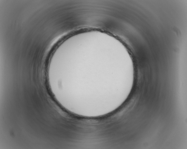 X0000114240878200910231522