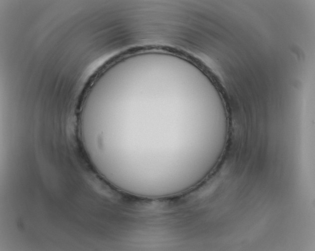X0000114240879200910231522