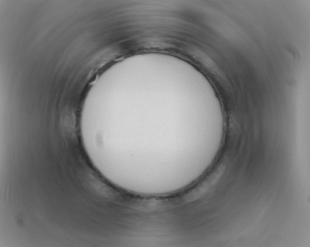 X0000114240881200910231522