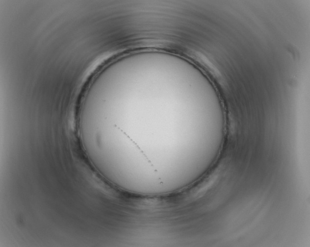 X0000114240883200910231522