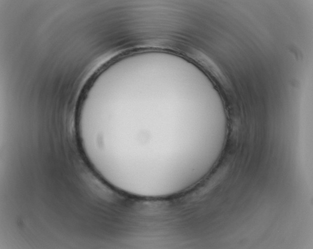 X0000114240884200910231522