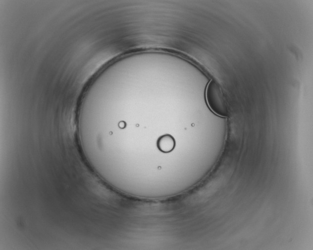 X0000114240885200910231522