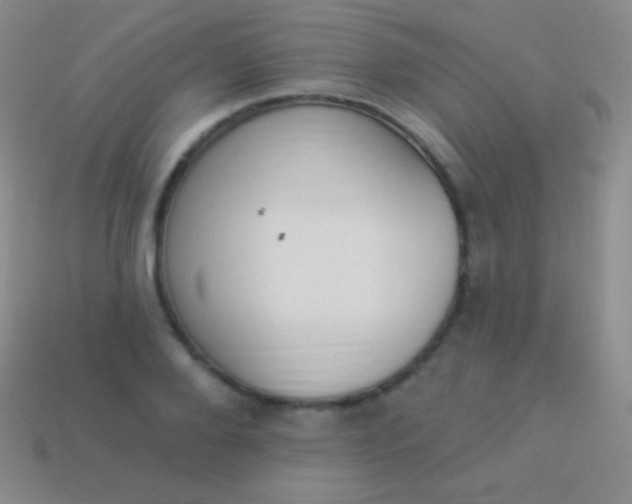 X0000114240888200910231522