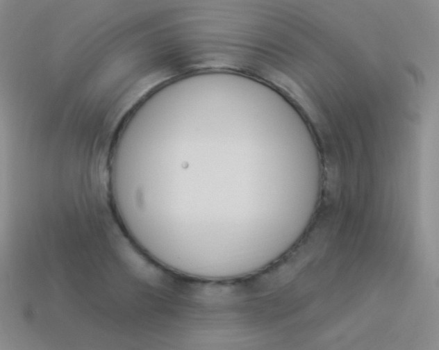 X0000114240890200910231522