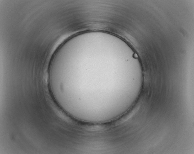 X0000114240891200910231522