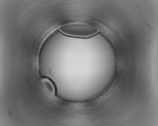 X0000114240892200910231522