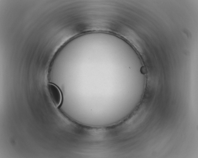 X0000114240893200910231522
