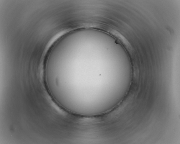 X0000114240894200910231522