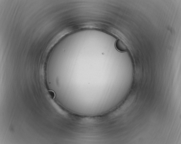 X0000114240898200910231522