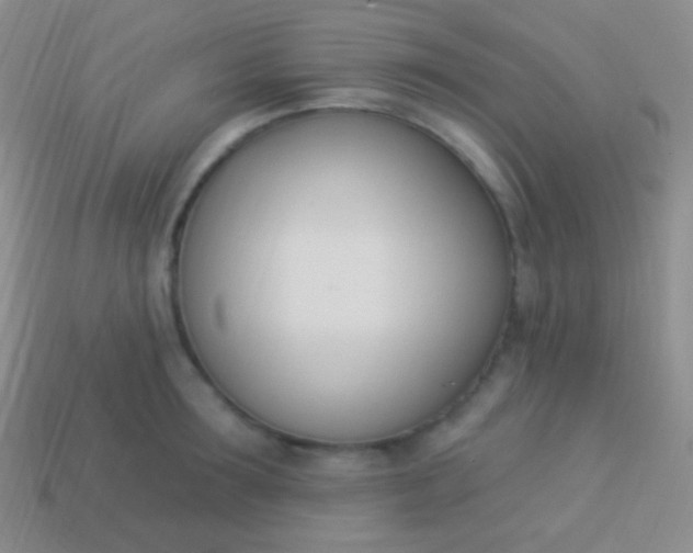 X0000114240899200910231522