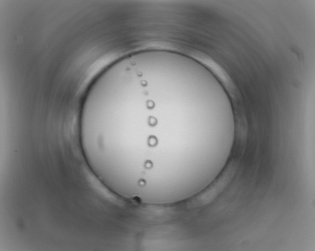 X0000114240910200910231521