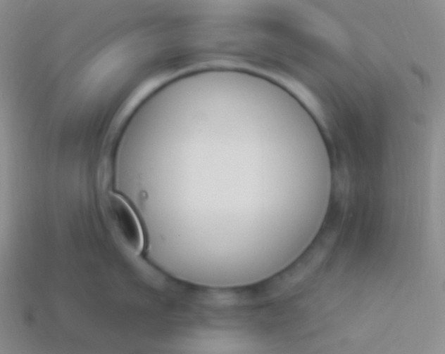 X0000114240911200910231521