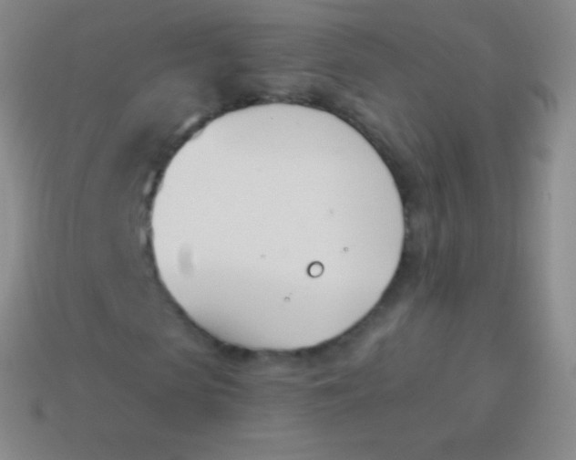 X0000114240913200910231521