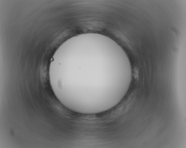 X0000114240915200910231521