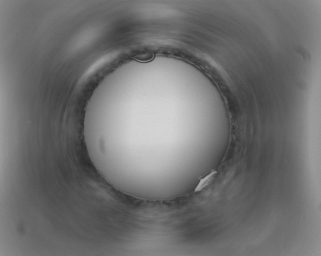 X0000114240919200910231521
