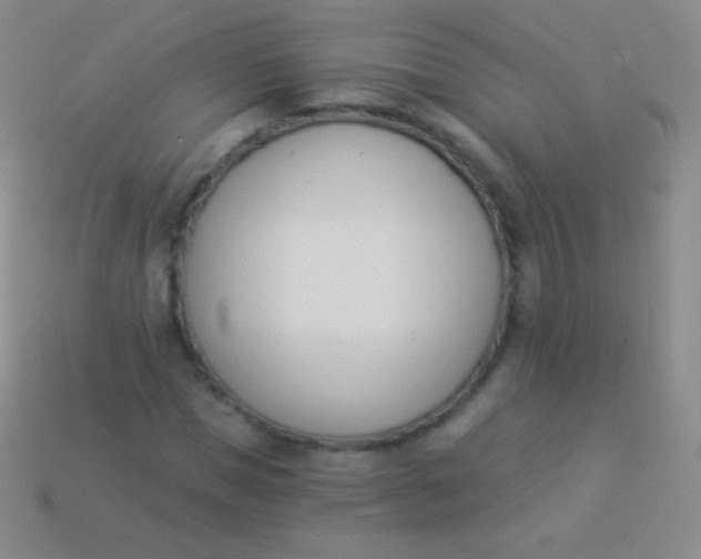 X0000114240921200910231521