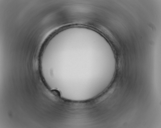 X0000114240924200910231521
