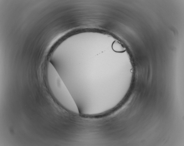 X0000114240925200910231521