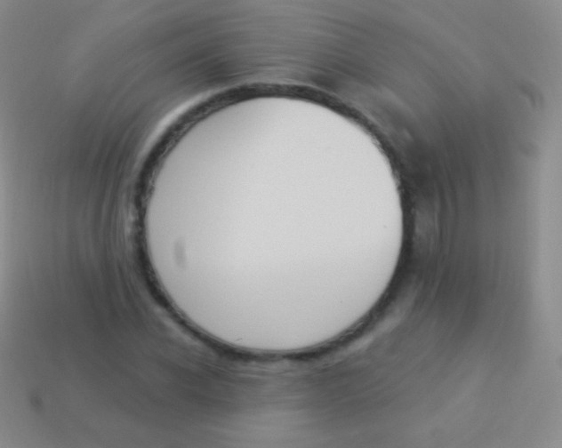 X0000114240926200910231521