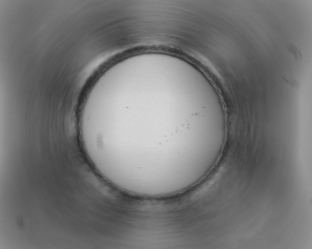 X0000114240927200910231521