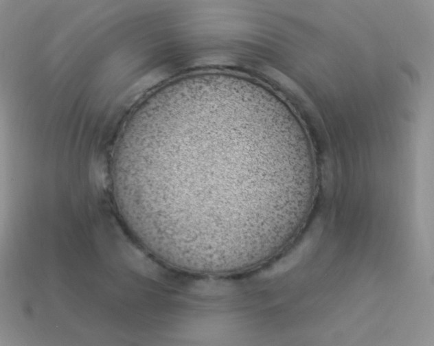 X0000114240929200910231521