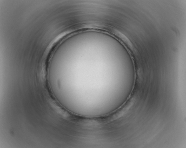 X0000114240931200910231521
