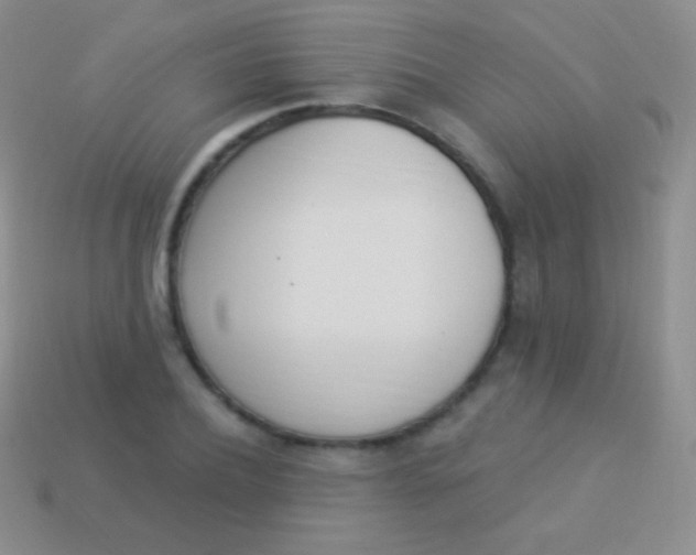 X0000114240932200910231521