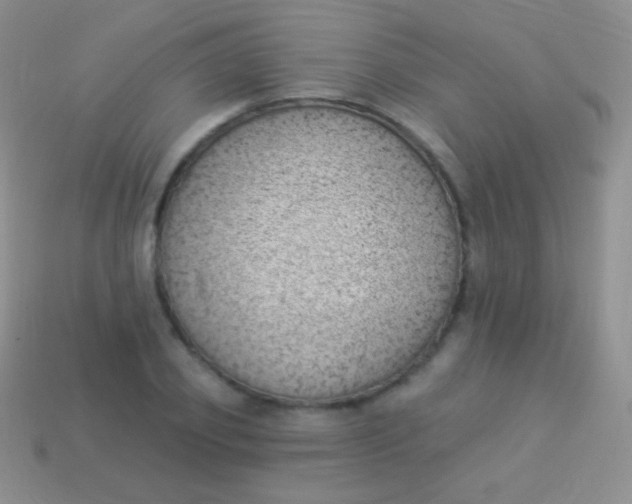 X0000114240933200910231521