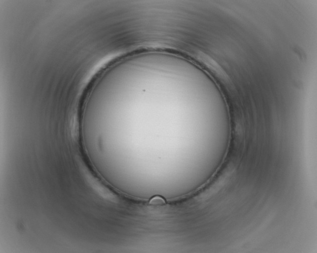 X0000114240934200910231521