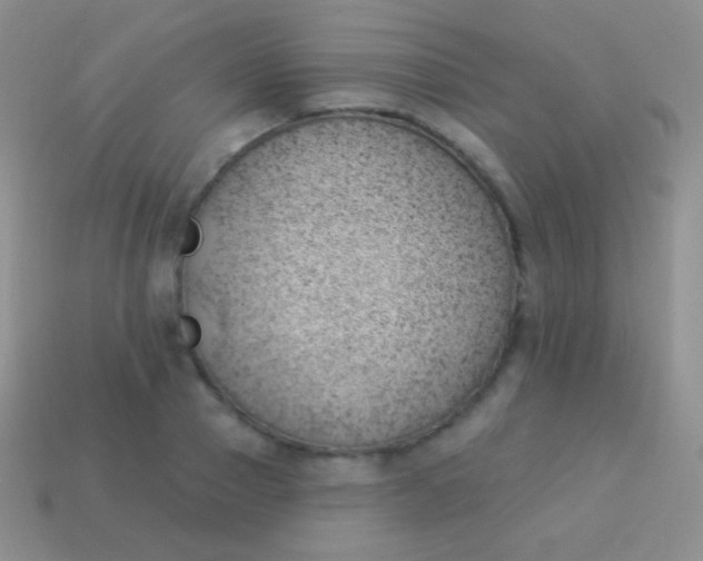 X0000114240937200910231521