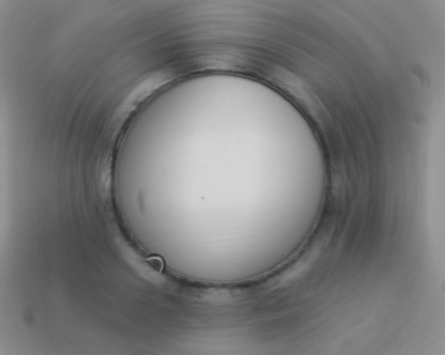 X0000114240938200910231521