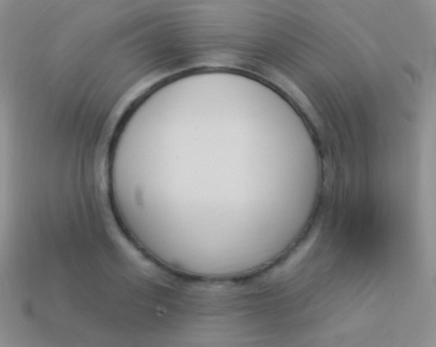X0000114240939200910231521