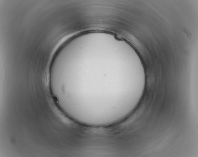 X0000114240940200910231521