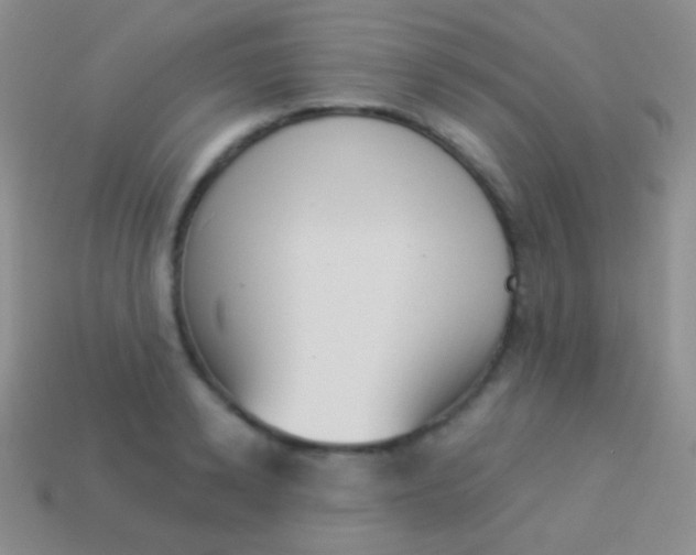 X0000114240942200910231521