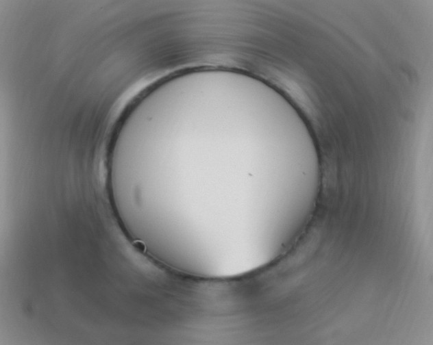 X0000114240944200910231521