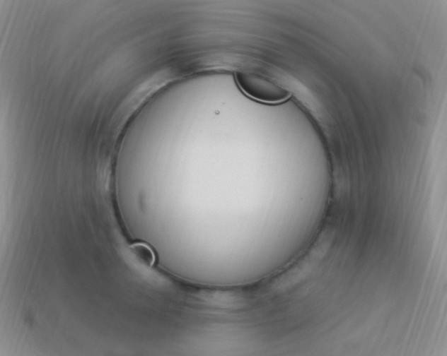 X0000114240946200910231521